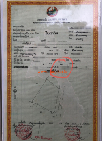 T00288